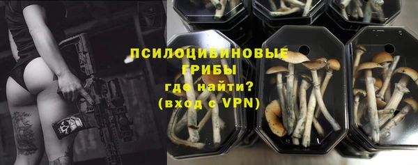 ALPHA PVP Каменка