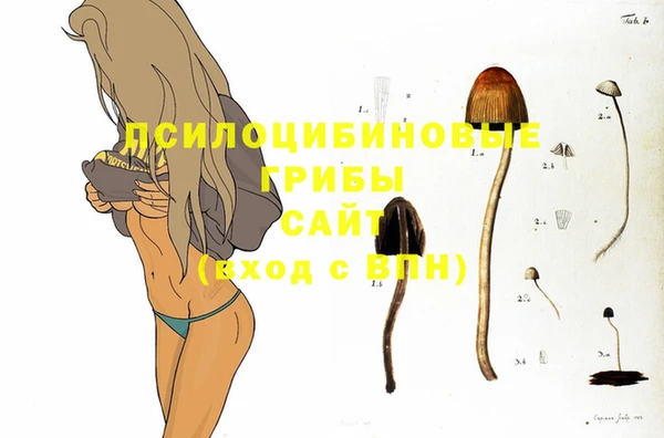ALPHA PVP Каменка