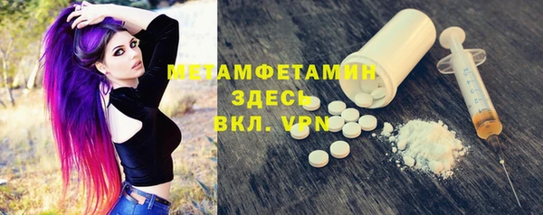 ALPHA PVP Каменка