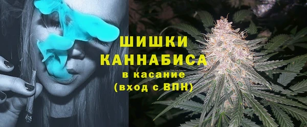 ALPHA PVP Каменка