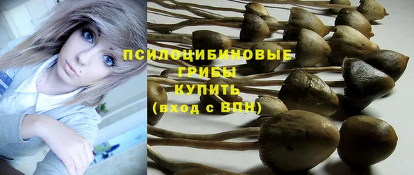 Альфа ПВП Каменногорск