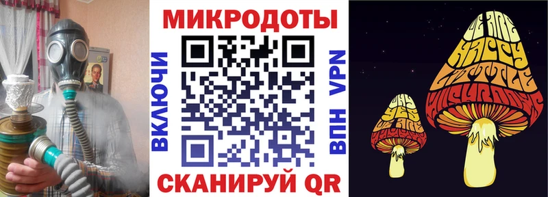 Псилоцибиновые грибы ЛСД Циолковский