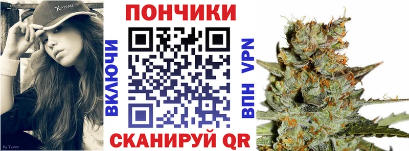 где купить   Циолковский  ссылка на мегу ТОР  Канабис марихуана 